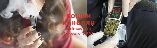 прущие грибы Волоколамск