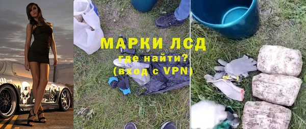 прущие грибы Волоколамск