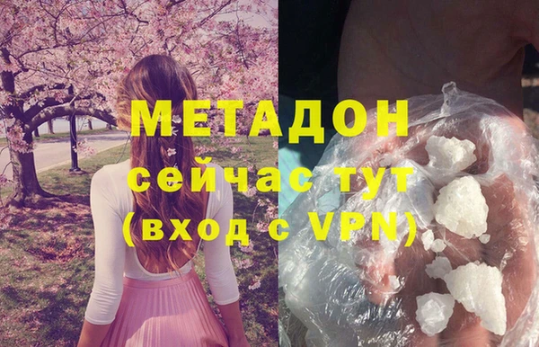 прущие грибы Волоколамск